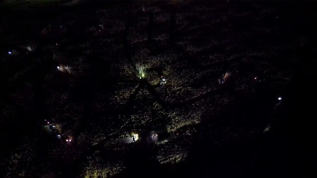 Toms Moonlight Maze смотреть онлайн