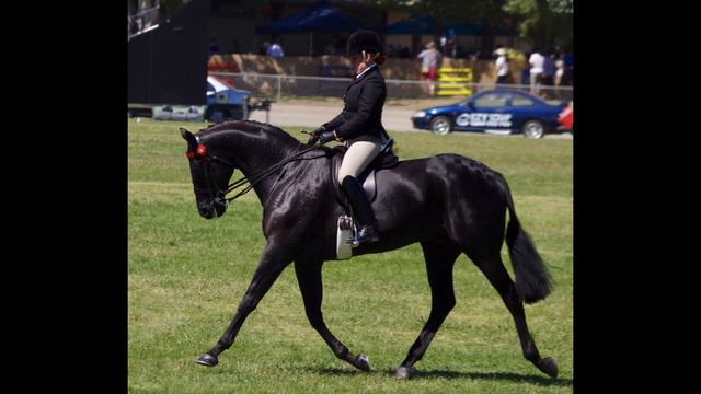 Hack Championship Canberra Royal смотреть онлайн
