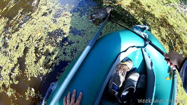 СЕЗОН ОХОТЫ 2020. Охота с подхода. И немного рыбалки. Последние дни отпуска. Часть 3. смотреть онлайн