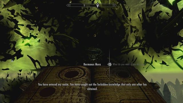 Skyrim - O Que Acontece Com O Dragonborn Depois De Derrotar Alduin, Harkon E Miraak? Qual é Seu Fim