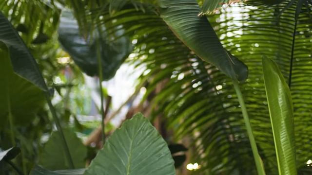 Adamex Chantal Polar модульная коляска 2 в 1 с оригинальной люлькой смотреть онлайн