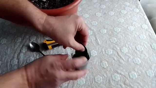 Замиокулькас из листа.ч1. Простое размножение. смотреть онлайн