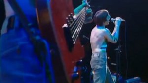 Мёртвые дельфины - На моей Луне