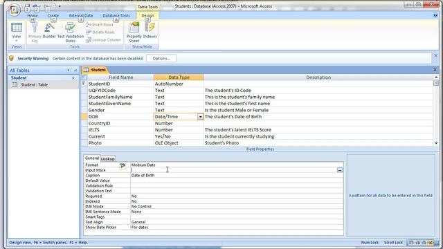 IS07 - Adding constraints, input masks and validation смотреть онлайн