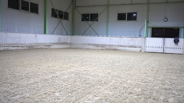 Одна небольшая тренировка с моей Пасификой, тракененская кобыла 3,5 года. смотреть онлайн