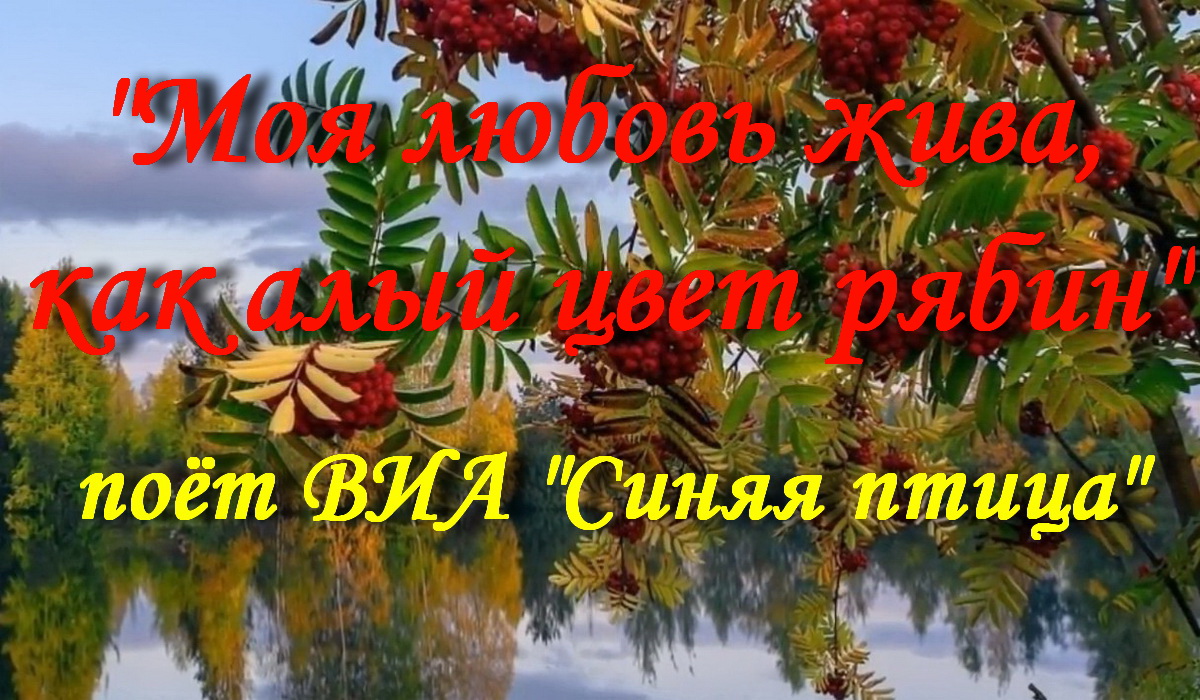 Моя любовь жива, как алый цвет рябин смотреть онлайн