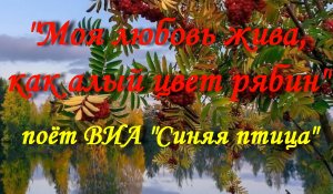 Моя любовь жива, как алый цвет рябин
