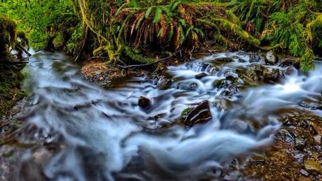 Instrumental Music 2017 – Beautiful Bamboo Flute Cover 2017 – Relaxing Flute Music for D65477453 смотреть онлайн