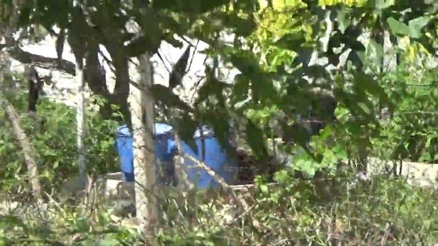 Автономная энергетика для опреснения и получения воды - Крым июнь 2021 -мыс Фиолент-Глобальная волн смотреть онлайн