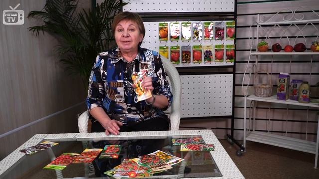 Томаты черри ? Высокорослые и горшечные томаты ? Обзор сортов от HitsadTV смотреть онлайн