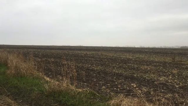 Этой монете больше 300 лет! Интересные находки на выбитом поле. смотреть онлайн