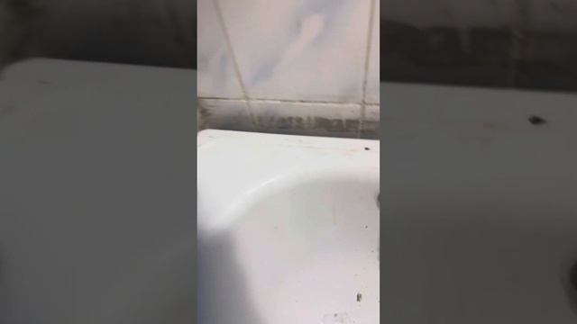 Как очистить ванную от цемента и от краски! Легко и просто! Как установить гидроплинтус смотреть онлайн