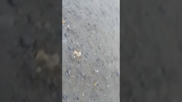 сломал ногу смотреть онлайн