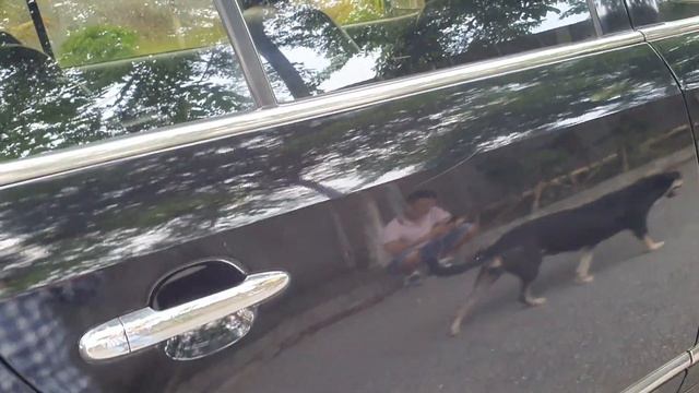 19/7: Kia Carens 2011 AT tư nhân 1 chủ ko taxi dịch vụ Din đẹp có tại Trường Phát. 0986304686 смотреть онлайн