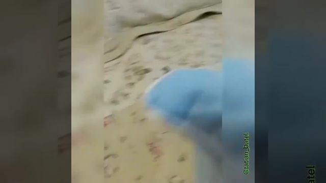 Эко Подушка. смотреть онлайн