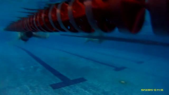 Соревнования SportLife Борщаговка заплыв маленьких смотреть онлайн