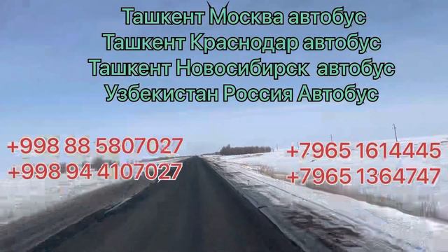Ташкент Новосибирск автобус Новосибирск Ташкент автобус Ташкент Красноярск Ташкент Челябинск автобу смотреть онлайн
