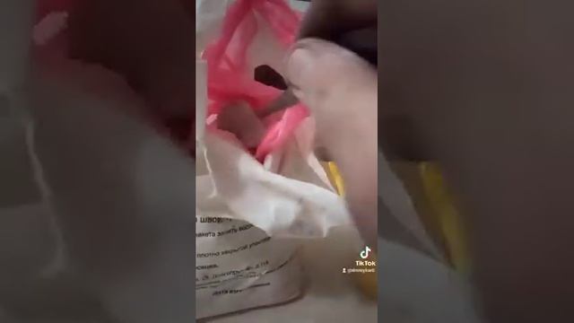 Гармоничный Дом