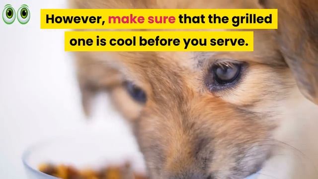 Can Dogs Eat Pineapple?