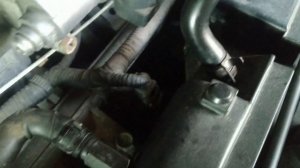 Проверка ремня ГРМ и роликов натяжного и обводного на Хундай Гетц 1'4 1'6