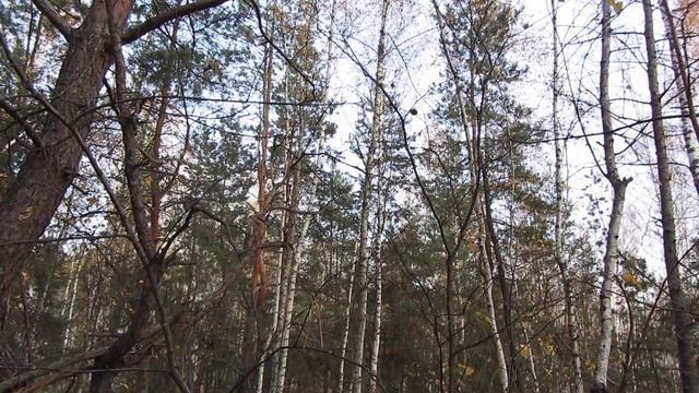 У каждого есть право заблуждаться. смотреть онлайн
