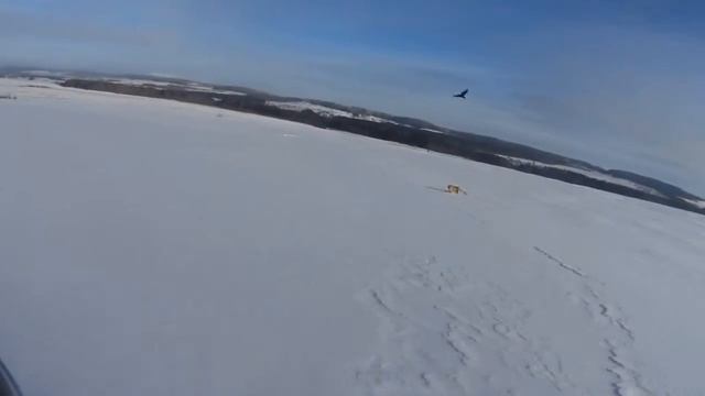 Снегоход и Лиса.Встреча с Лисой смотреть онлайн