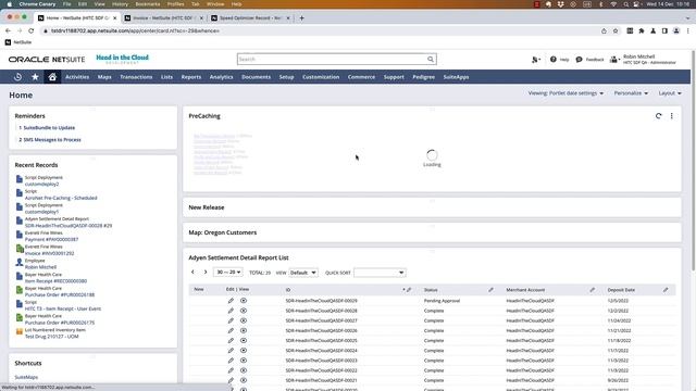 NetSuite Speed Optimizer смотреть онлайн
