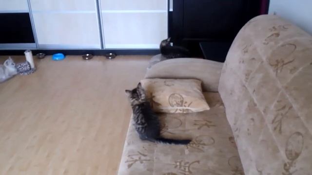 Тестовое видео Panasonic Toughpad JT-B1 смотреть онлайн