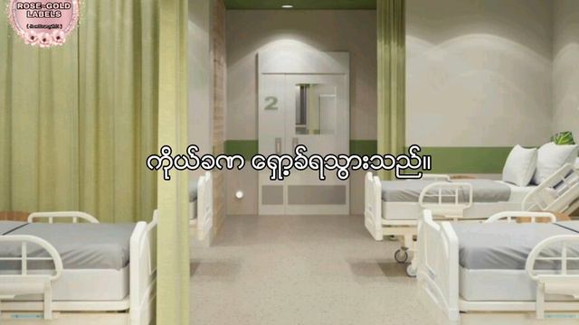 Mafia's doctor (Jungkook Myanmar fanfic) EP.30 смотреть онлайн