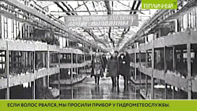 Зачем в 90-х прошлого века в «Тепличный» приходили парни в кожаных тужурках? смотреть онлайн