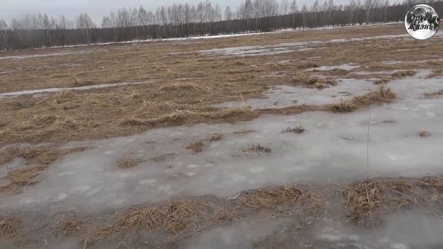 Открытие сезона 2022 | Весенний коп смотреть онлайн