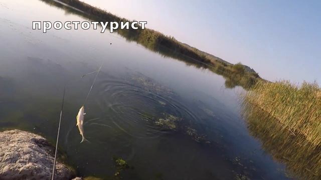 Рыбалка в Анталии октябрь 2019 на речке Aksu! Караси! çim Sazanı Antalya 2019