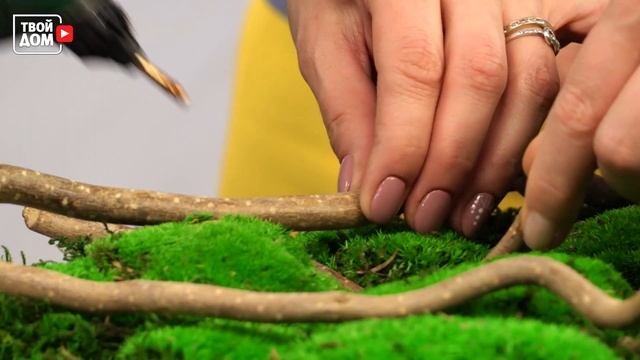 Цветочное панно и бонсай своими руками. Озеленяем гостиную. | Хозяйка дома смотреть онлайн