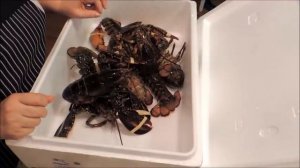 Как приготовить  ЛОБСТЕРА. ( How to cook lobster.)