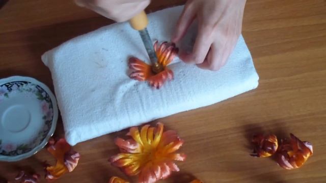 Астра фантазийная из атласа. Часть 2 смотреть онлайн