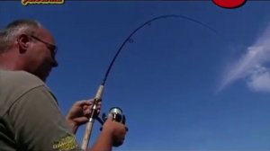 Как перехитрить карпа? Эволюция ловли карпа. Ловля крупного карпа до 15 кг.