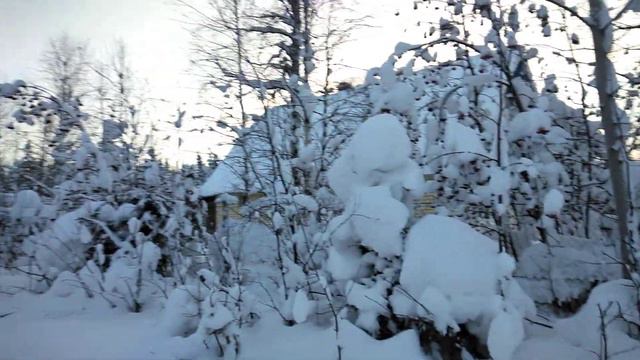 Лес зима выпало снега на данный момент 21 15 декабря 2021 год смотреть онлайн
