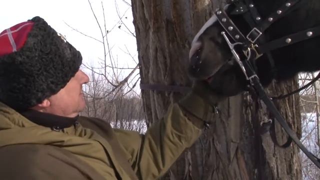 Подготовка к конному казачьему походу Борское - Самара смотреть онлайн
