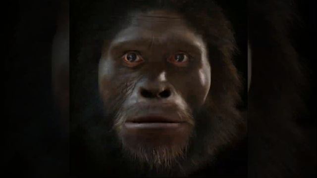 GO BACK I WANT TO BE MONKE (original) смотреть онлайн