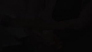 Судная ночь (2013) . Ужас , триллер . США , Франция . Трейлер