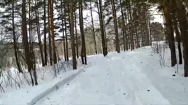 Прогулка на лыжах от первого лица смотреть онлайн