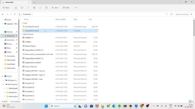 java.lang.IllegalStateException: The driver executable does not exist | Java смотреть онлайн