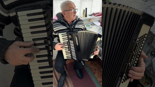 Weltmeister Stella accordion, 3/4 accordion, 80 Bass, 34 key, 3 voice, 5+3 register, New strap, SAL смотреть онлайн