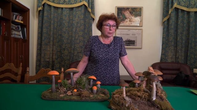 Подосиновики и подберёзовики смотреть онлайн