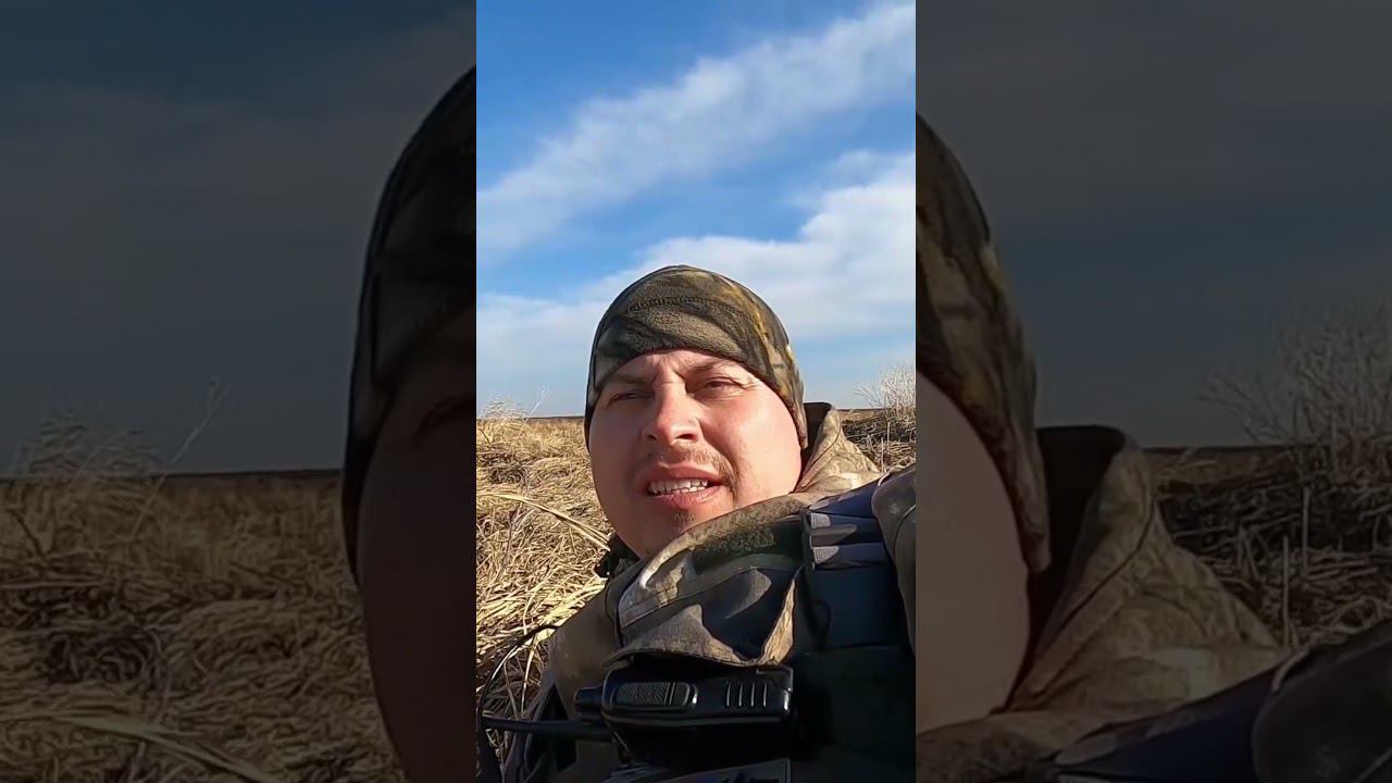 Весенняя Охота на Селезня. Добыл Свиязя #охота #охотанауток смотреть онлайн