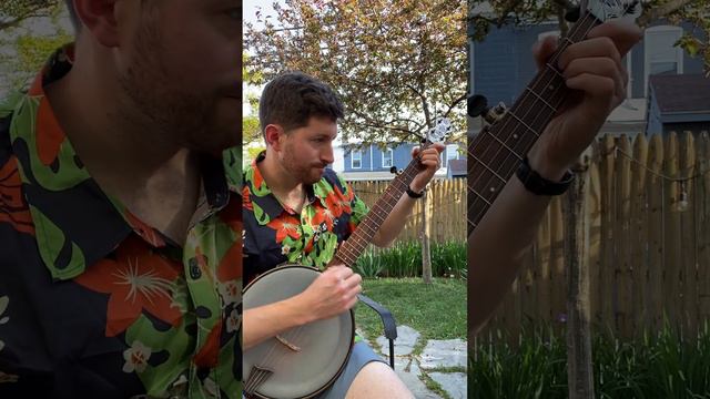 Jason Romero Banjo - Wild Horse at Stony Point смотреть онлайн