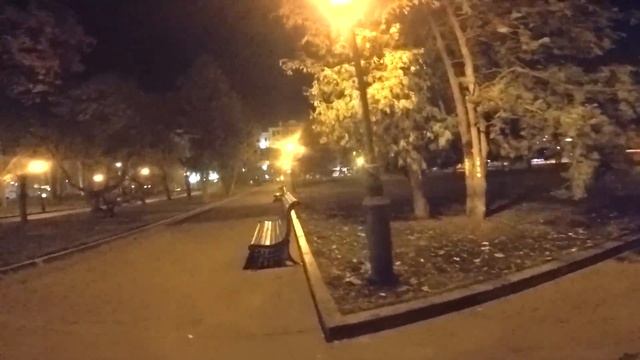 Хаски чуть не попал под машину / Лекси, Майк и Рокки на прогулке без поводков смотреть онлайн