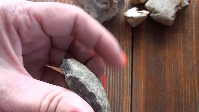 Юные археологи и столица мира смотреть онлайн