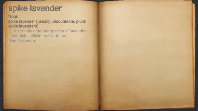 What does spike lavender mean? смотреть онлайн