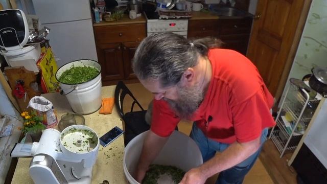 Зеленые ЩИ ( классические) смотреть онлайн